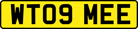 WT09MEE