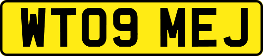 WT09MEJ