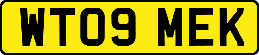 WT09MEK
