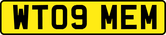 WT09MEM