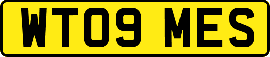 WT09MES