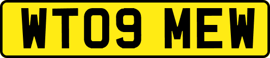 WT09MEW