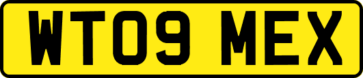 WT09MEX