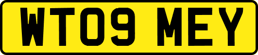 WT09MEY