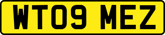 WT09MEZ