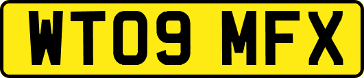 WT09MFX