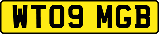 WT09MGB
