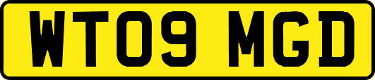 WT09MGD