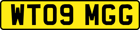 WT09MGG