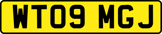 WT09MGJ