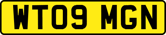 WT09MGN