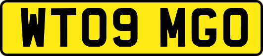 WT09MGO