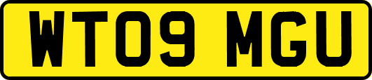 WT09MGU