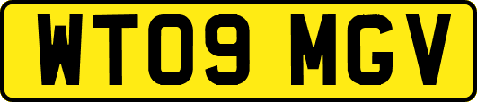 WT09MGV