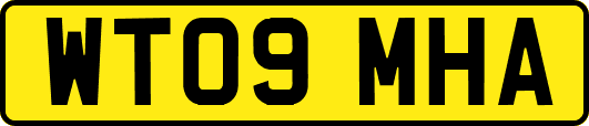 WT09MHA