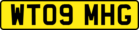 WT09MHG