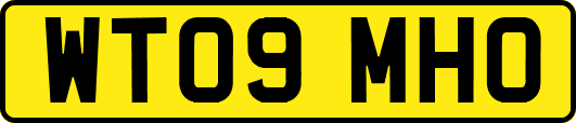 WT09MHO