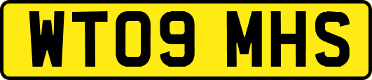 WT09MHS