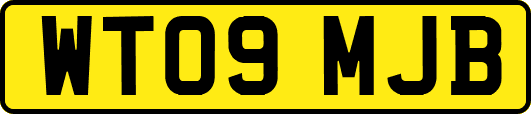 WT09MJB
