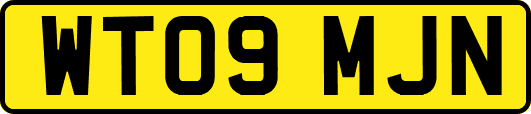 WT09MJN