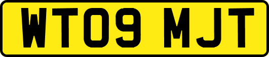WT09MJT