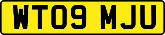 WT09MJU