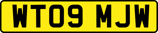 WT09MJW