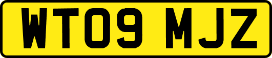 WT09MJZ