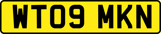 WT09MKN