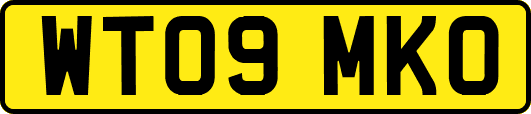 WT09MKO