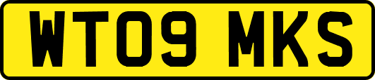 WT09MKS