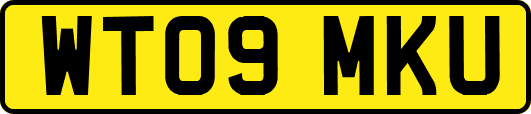WT09MKU