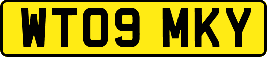 WT09MKY