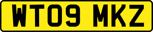 WT09MKZ