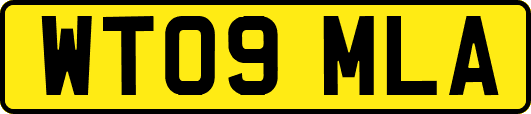 WT09MLA