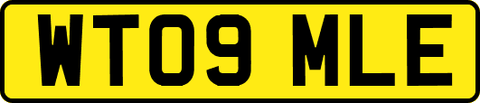 WT09MLE