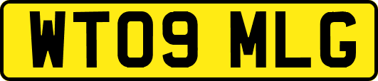 WT09MLG