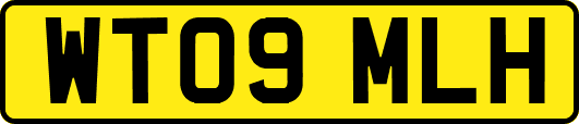 WT09MLH