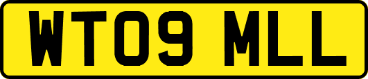WT09MLL