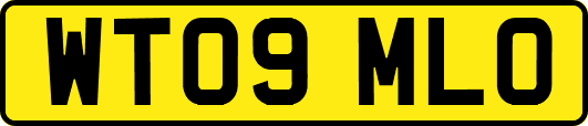 WT09MLO