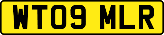 WT09MLR