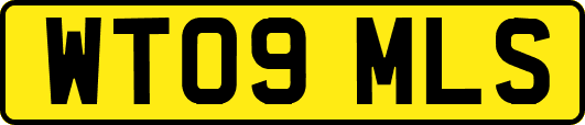 WT09MLS