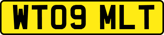 WT09MLT