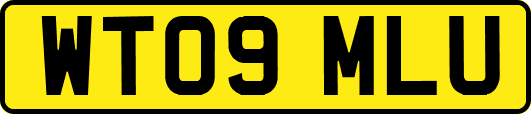 WT09MLU