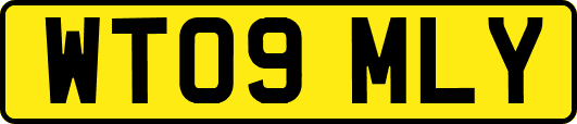 WT09MLY
