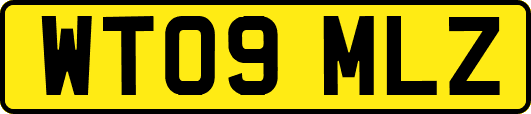 WT09MLZ
