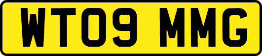 WT09MMG