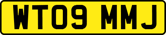 WT09MMJ