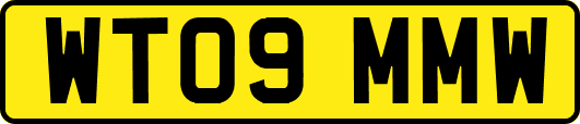 WT09MMW