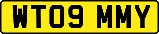 WT09MMY